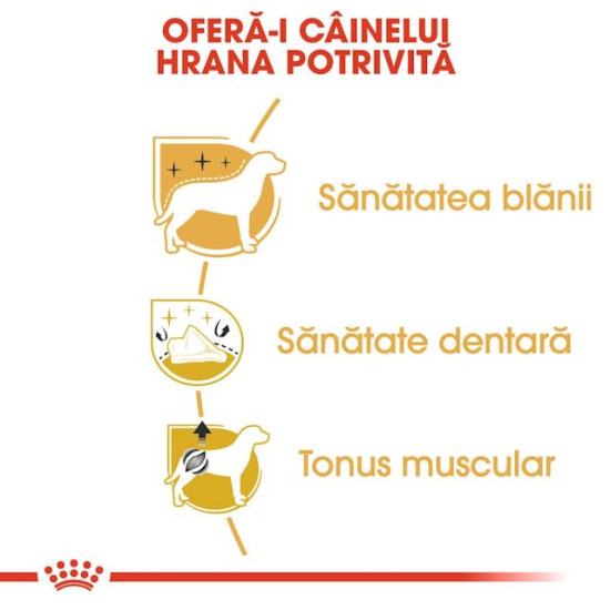 Royal Canin Poodle Adult – Hrană Uscată pentru Câini Adulți din Rasa Poodle – 1,5 kg